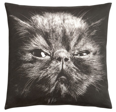 Grumpy Suspicious Cat Pillow H&M