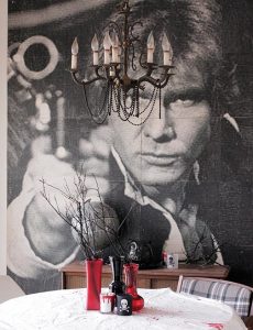 Han Solo Wall Mural